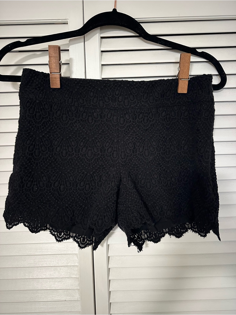elevenses Black Floral Lace Shorts